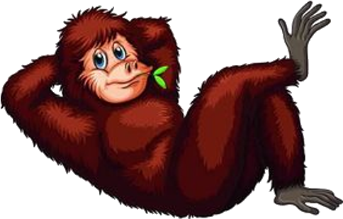 Orangutan Animal Illustrations Stock Photography Clip - Orang Utan Clipart (500x500)