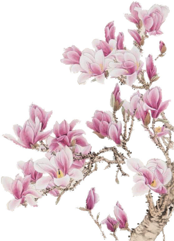 Orchid - Romantic Good Morning My Love (557x800)