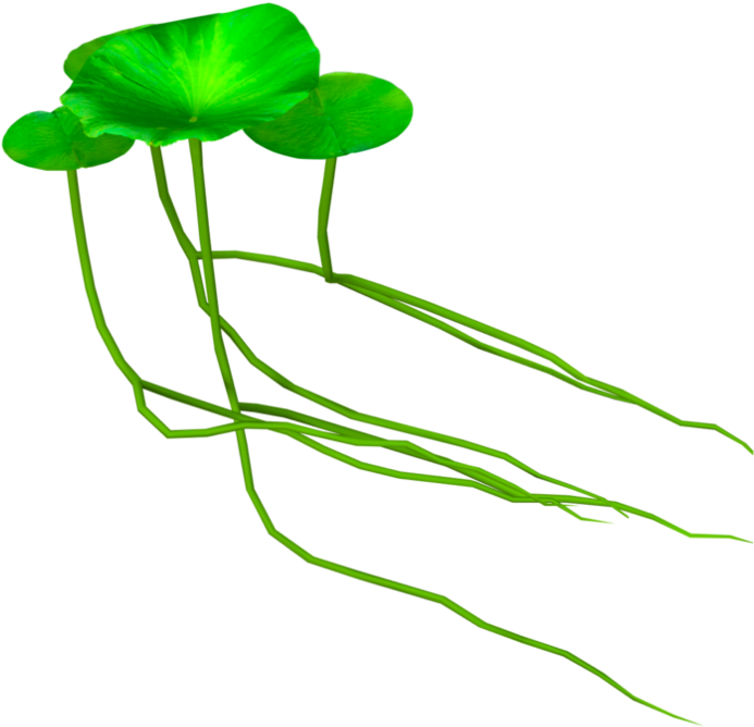 Waterlilies 11 By R08r17 - Buttercup (894x894)