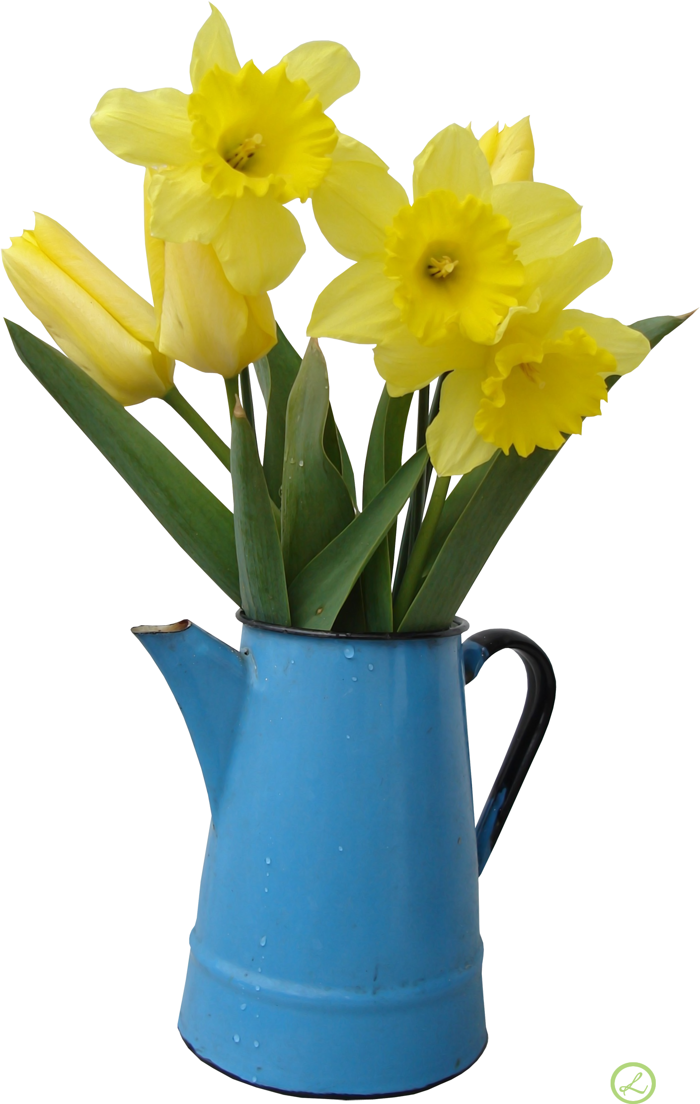 Flower Daffodil Stock Photography Vase - Flower Daffodil Stock Photography Vase (1554x2300)
