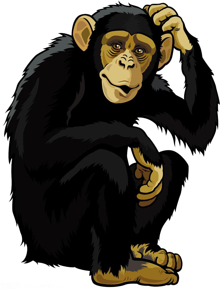 Orangutan Monkey Chimpanzee Clip Art - Orangutan Monkey Chimpanzee Clip Art (1000x1000)