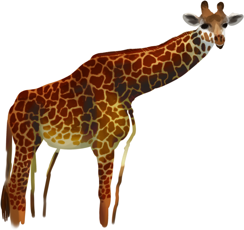 Giraffe By Procastinagoat Giraffe By Procastinagoat - Giraffe (924x865)