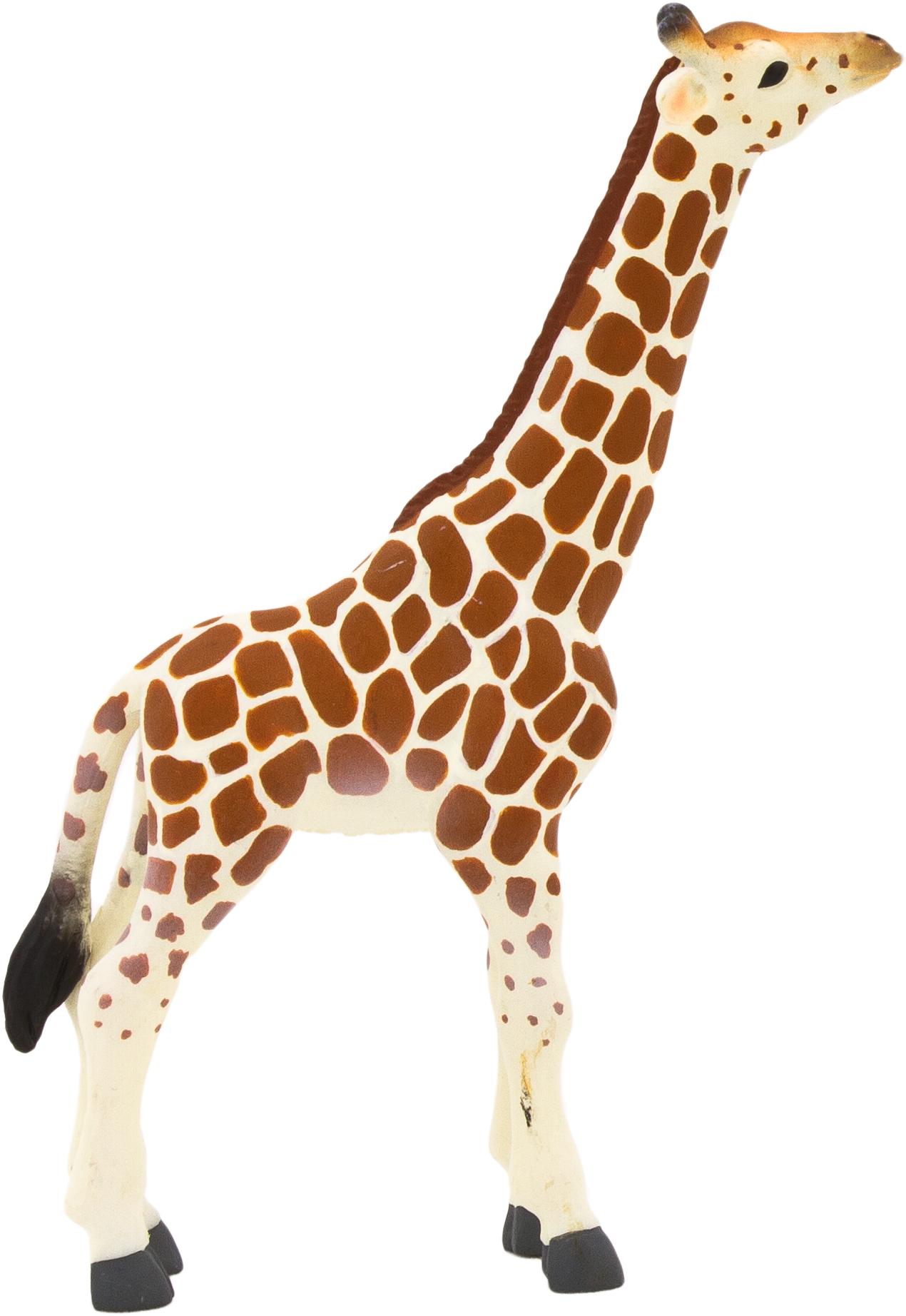 Animal Planet Giraffe Calf - Mojo Giraffe Calf Hand Painted Replica Wild Animal (1792x2020)