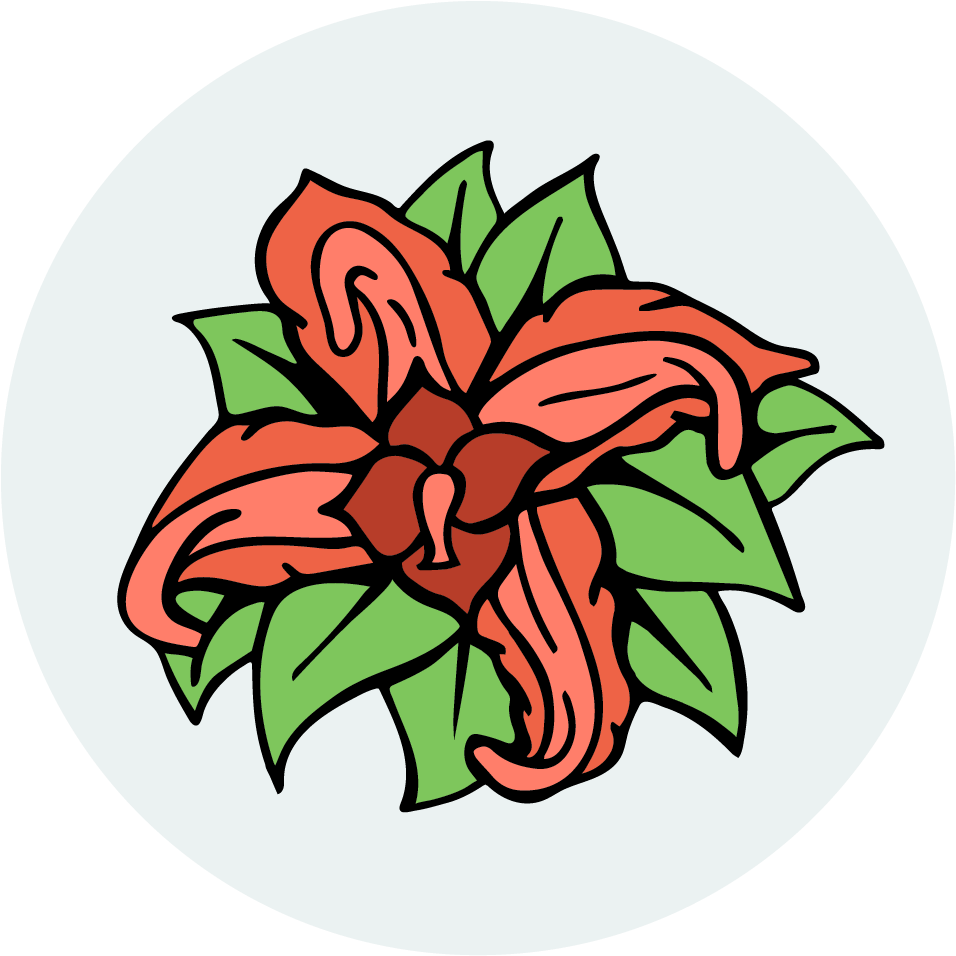 Image Description - Lily Family (1042x1042)