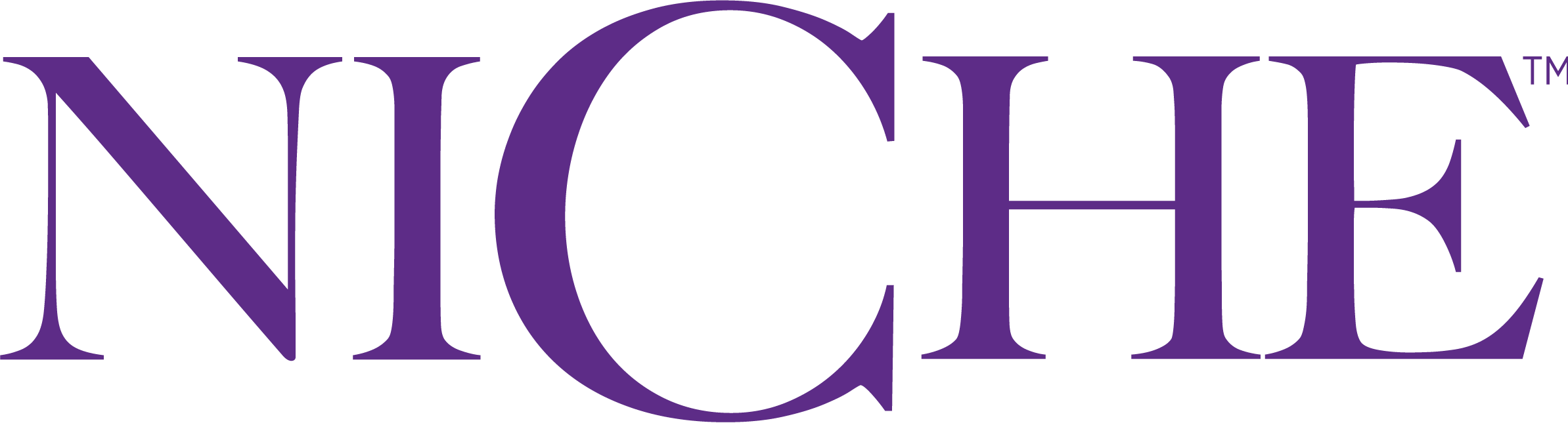 Toggle Navigation - Nurses Improving Care For Healthsystem Elders (2387x648)