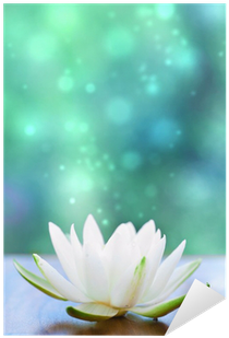 Lotus Flower Journal: (diary, Notebook, Blank Book) (400x400)