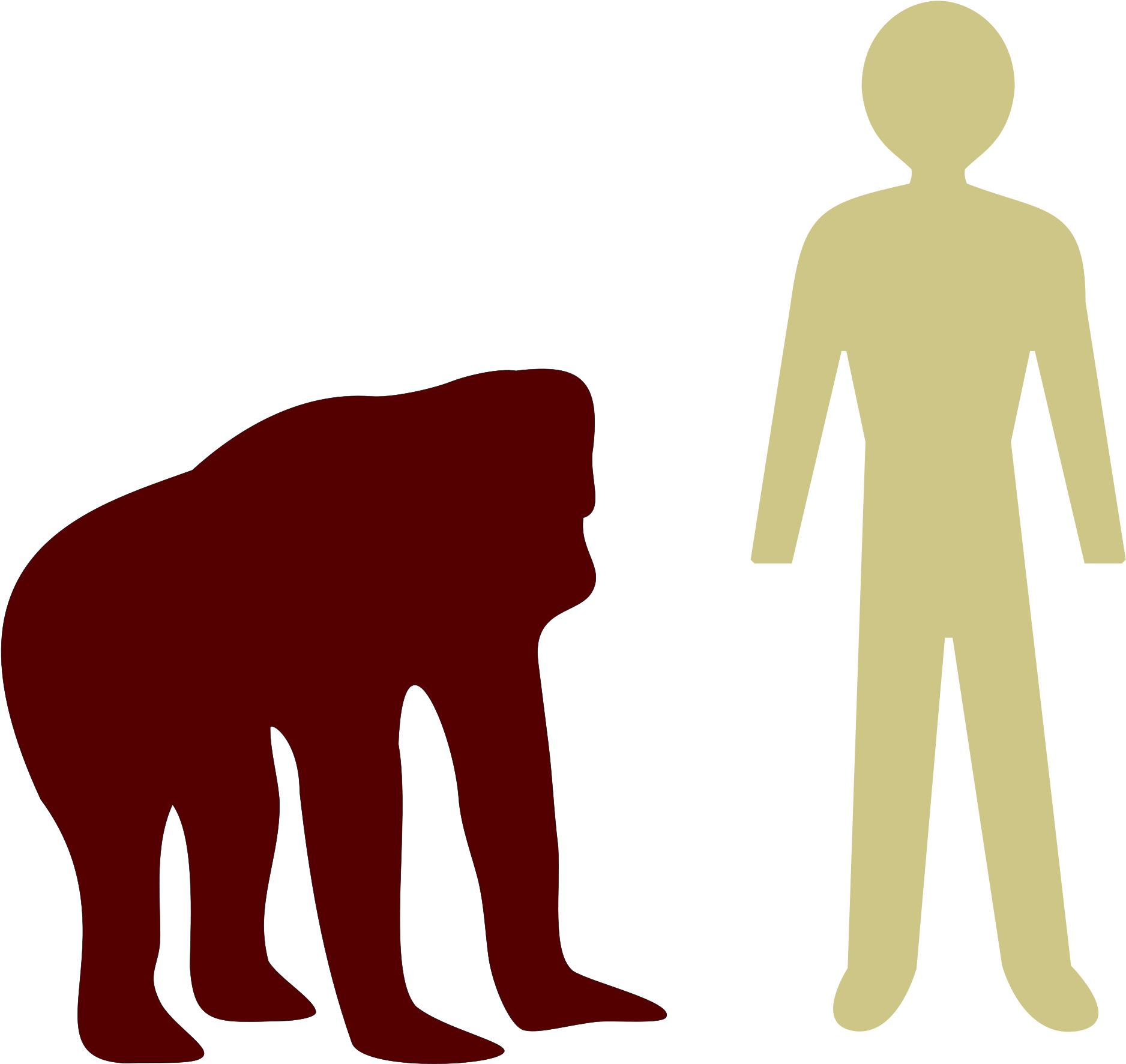 Open - Orangutan And Human Size (2000x1925)