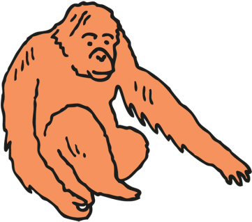 You Are An Orangutan - You Are An Orangutan (360x360)
