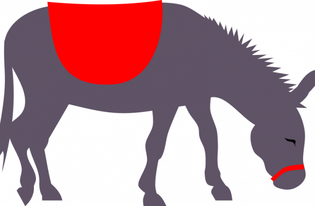 Donkey Clipart - Donkey Clipart (640x420)
