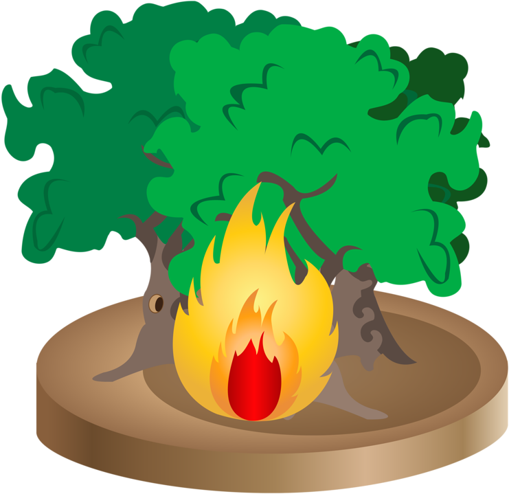 Firefighter Cartoon Conflagration Clip Art - Firefighter Cartoon Conflagration Clip Art (797x800)