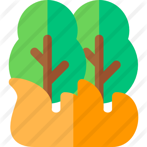 Forest Fire - Icono De Incendio Forestal (512x512)