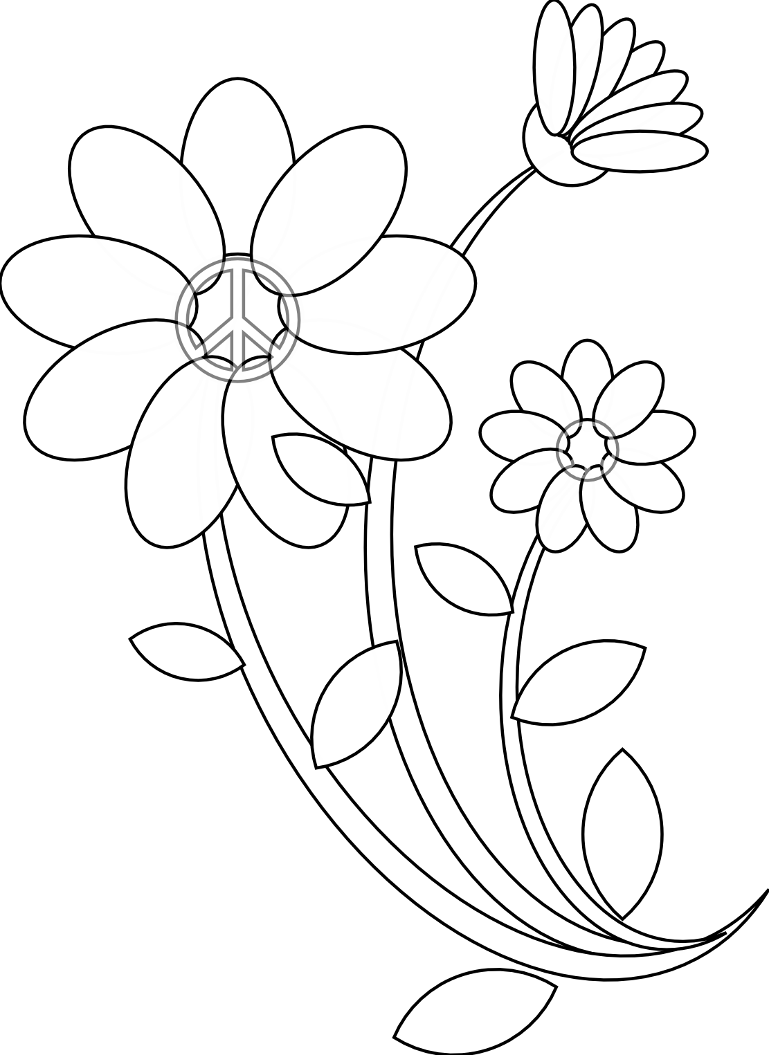 Images Of Line Drawing Of Flowers - Flower Images Line Drawings (1111x1525)