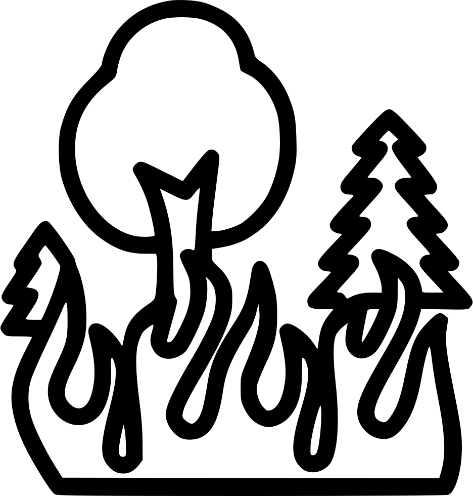Wildfire Forest Fire Bonfire Combustion Burning Trees - Wildfires Hand Drawings (936x980)