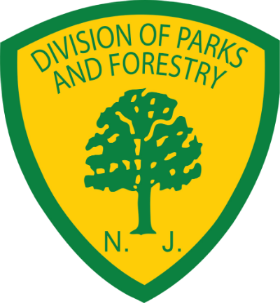 New Jersey Division Of Parks & Forestry - Forest (400x433)