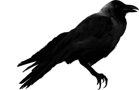 Download Free Photo Report - Ворона Пнг (526x340)