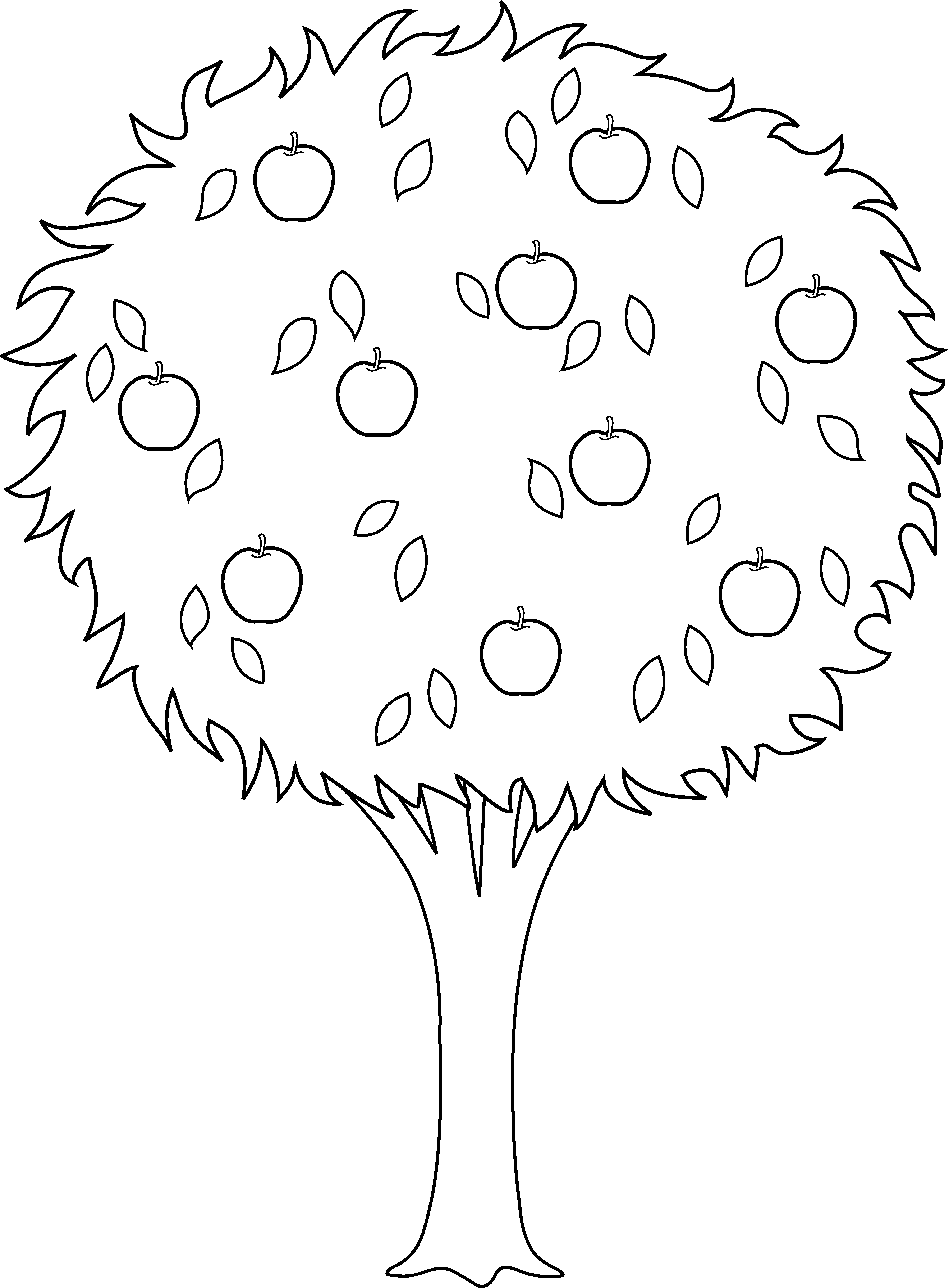 Apple Tree - Orange Tree Black And White (4538x6155)
