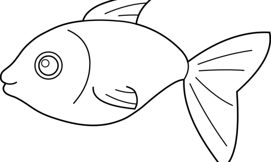 Quality Fish Outline Drawing Drawings Of Free Download - Clip Art (550x329)