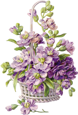 0 53ee1 77a70308 Xl - White Vintage Violets (367x530)