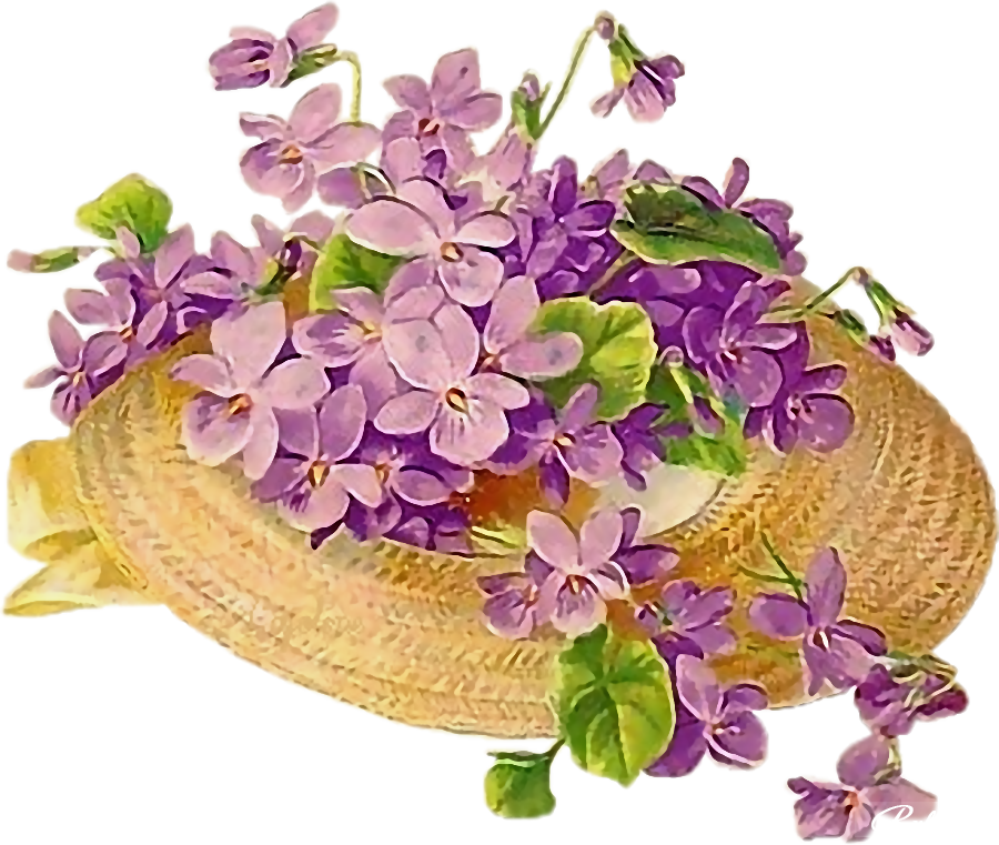 Flower Floral Design Violet - Flower Floral Design Violet (900x761)