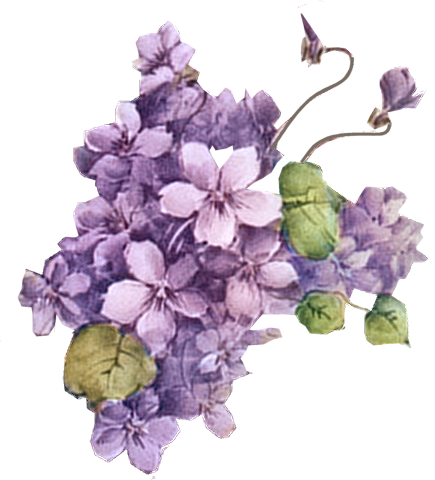 Flower 5 Tuckdb Org - Violet Vintage Flowers Png (435x480)
