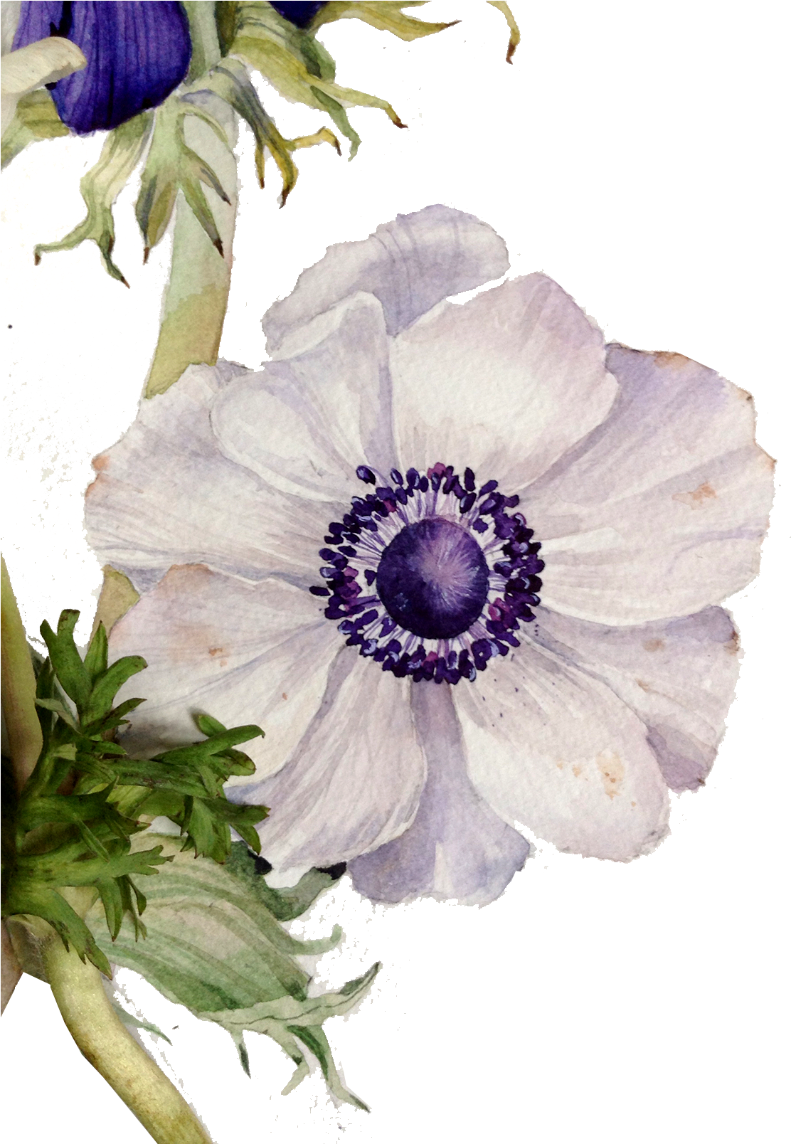 Floral Design Flower Painting - Flowers Vintage Painted (1200x1607)