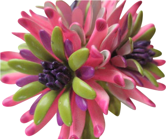 Vintage Signed Corocraft Enameled Floral Bouquet Flower - Common Zinnia (572x572)