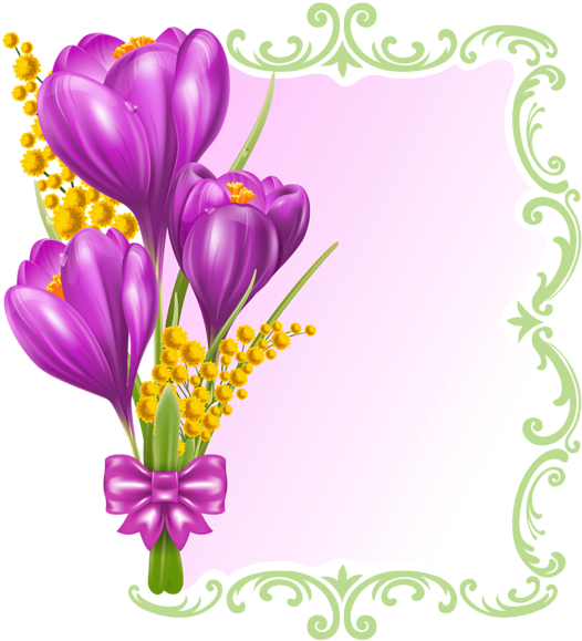 Em Branco Primavera Decorativa Png Clipe - Flower Card Templates Free (545x600)