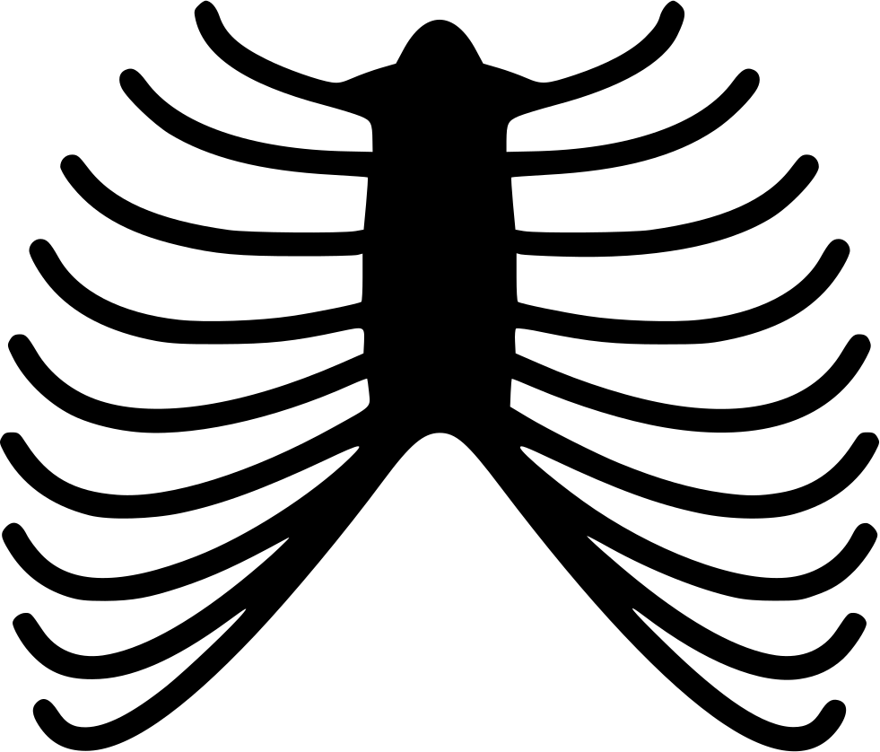 Skeleton Ribs Comments - Human Ribs Png (981x838)