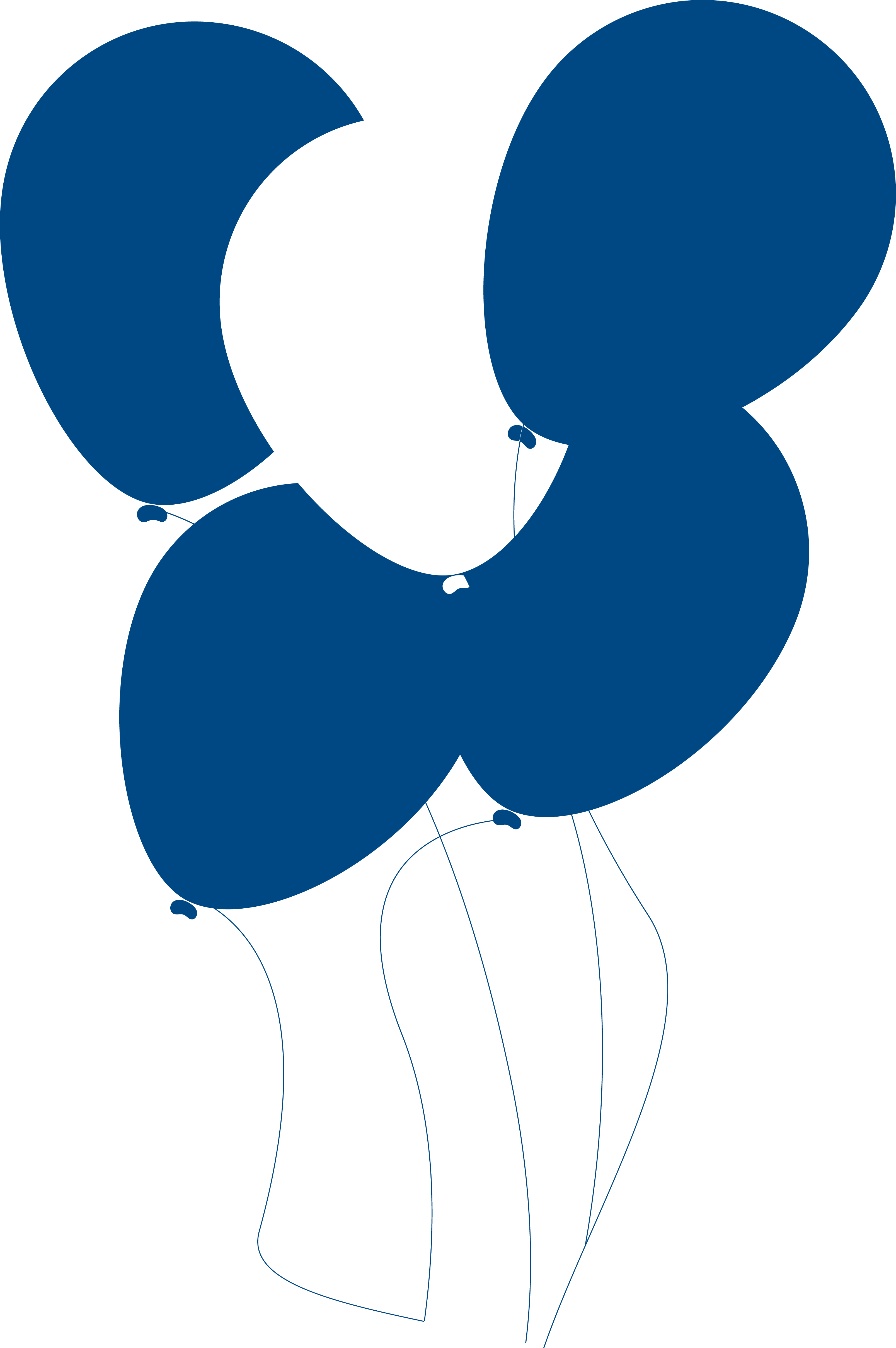 Heritageblue Balloons - Fundraising (3214x4835)