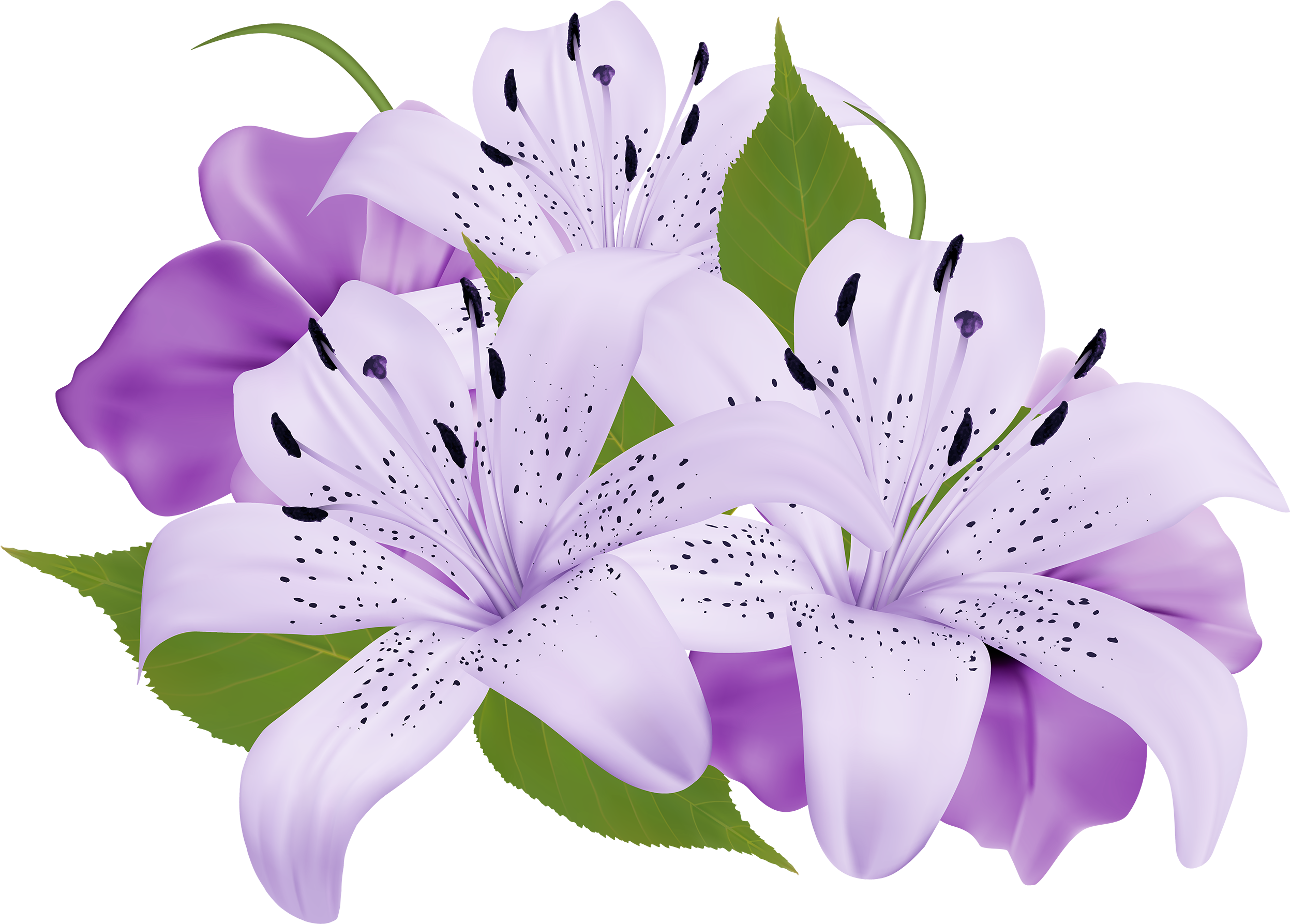 Purple Flower Clipart Beautiful Flower - Purple Flower Clipart Beautiful Flower (2500x1786)