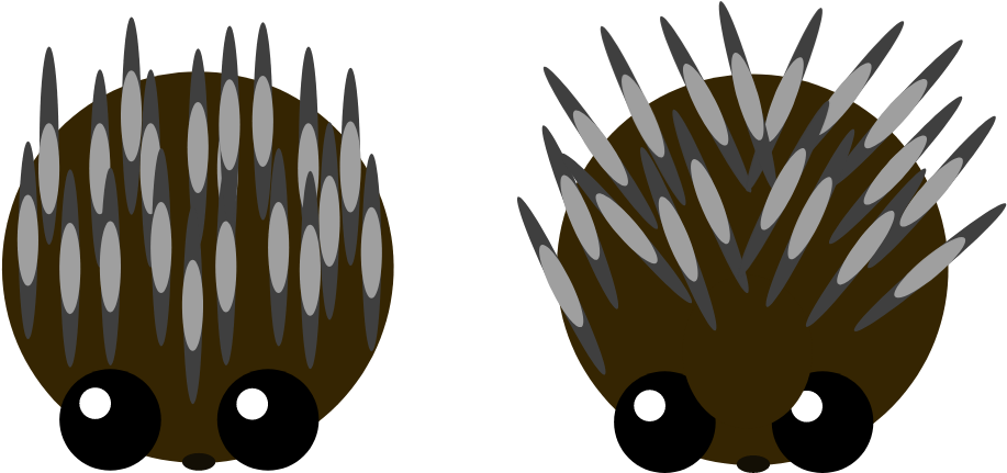 Artisticporcupine - Porcupine (1000x500)