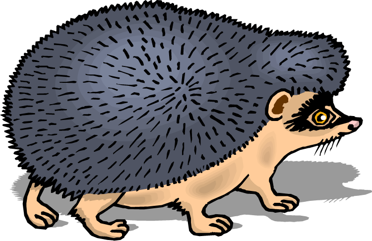 Masked Hedgehog - Скачать Бесплатно Ежик Клипарт (750x486)