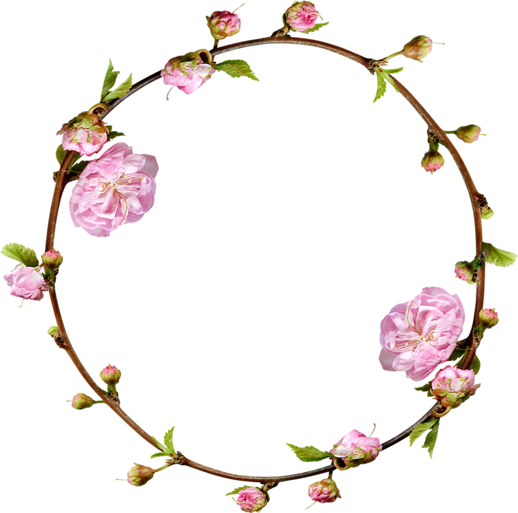 Diaries - Round Flower Frame Png (1024x1014)