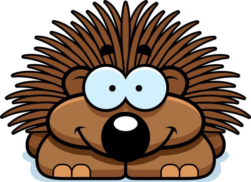 Isishiyagalombili - Porcupine Cartoon (999x724)