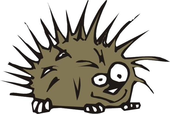 Hedgehog Porcupine Cartoon Clip Art Hedgehog 858 817 - Hedgehog Porcupine Cartoon Clip Art Hedgehog 858 817 (858x817)