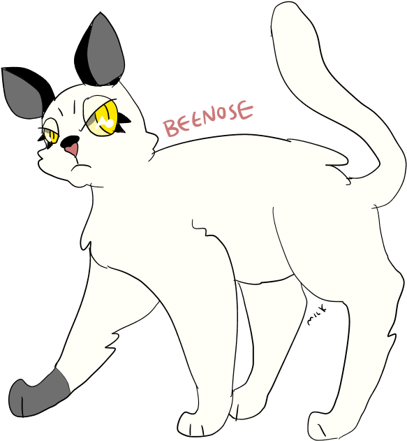 Beenose Shadow Clan Warrior Cats Koi-heart - Cat Yawns (813x906)