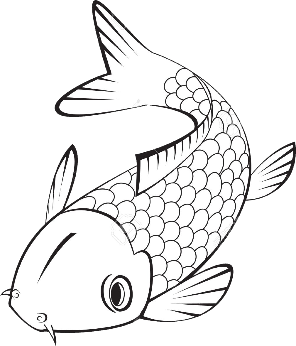 Ceramic Fish - Ceramic (1009x1179)