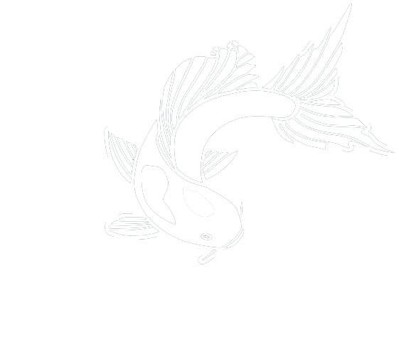 Koi Wellbeing - Sketch (561x474)
