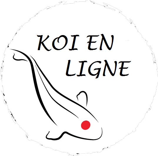 Menu Principal - Menu Principal (558x547)