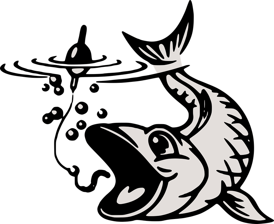 Collection Of Koi Fish Coloring Page - Fish On Hook Vector (883x720)
