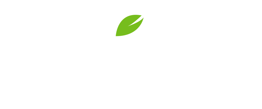 Koi Thé - Miami Water Life Tours Inc. (870x370)