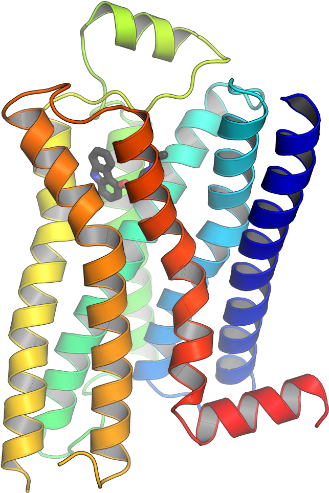 G Protein Coupled Receptors 3d Structure (768x1024)