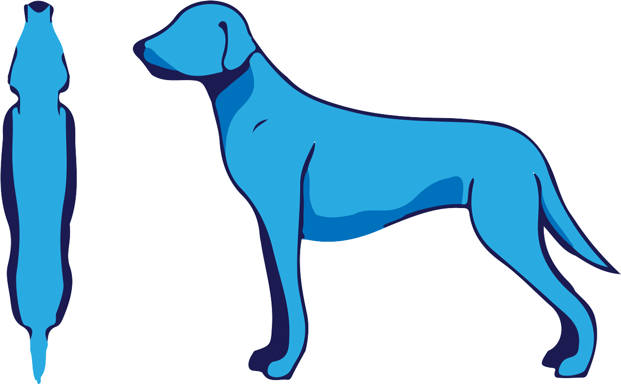 Pet Pet Pet Pet Pet - Pet (1278x795)