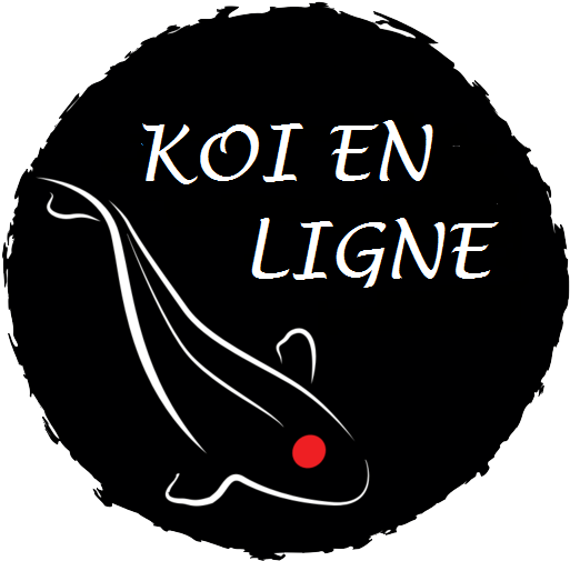 Le Site De Vente En Ligne De Koï De Qualité - River Stone: A Collection Of Poems (527x515)
