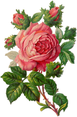 Vintage Images About Roses, Birds, Dogs, Cats, Child - Craft Consortium Decoupage Papers 13.75"x15.75" 3/pkg-blue (299x425)