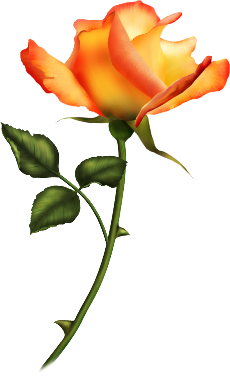 Láminas Vintage,antiguas,retro Y Por El Estilo - Romantische Rosen-karte 03 Grußkarte (775x1280)