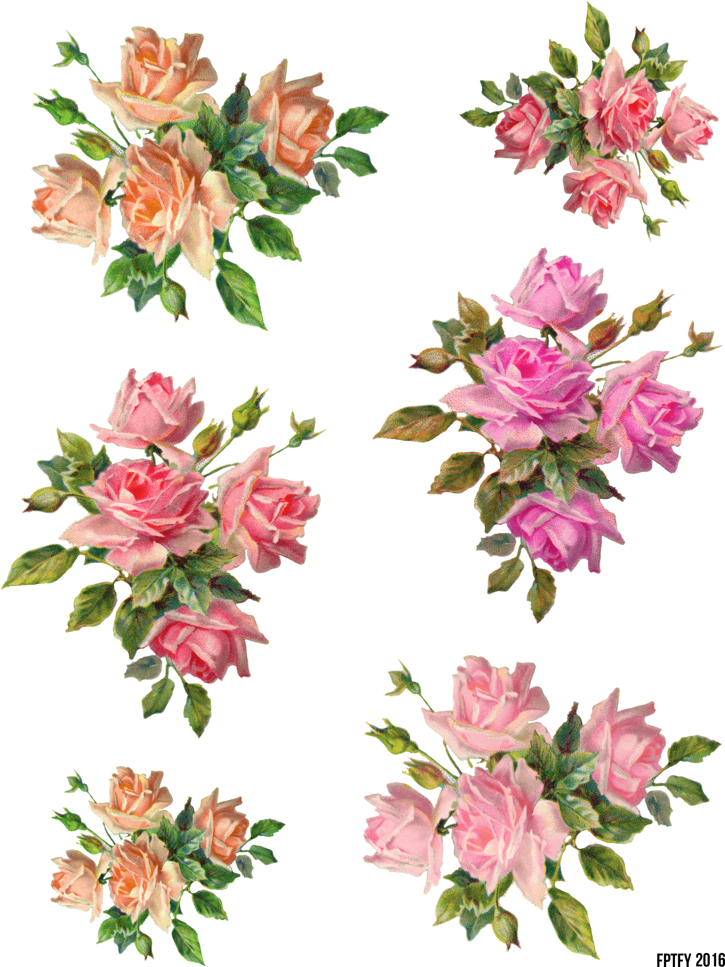 [showmyads] - Free Vintage Rose Png (2550x3300)