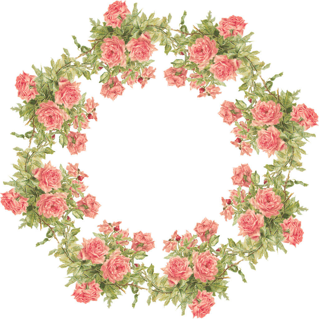 Catherine Klein Peach Roses Digital Elements - Flower Frame Png Transparent (1024x1024)