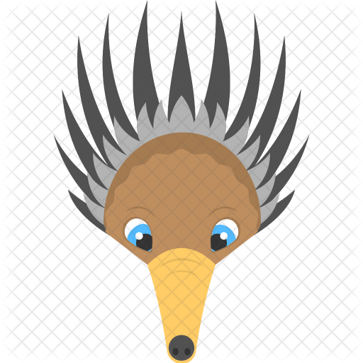 Anteater Icon - Anteater (512x512)