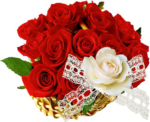 Flowers By Kmygraphic - Black Rose Basket (500x500)